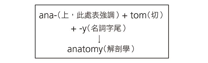 專業詞彙好難背 談英文的構詞邏輯